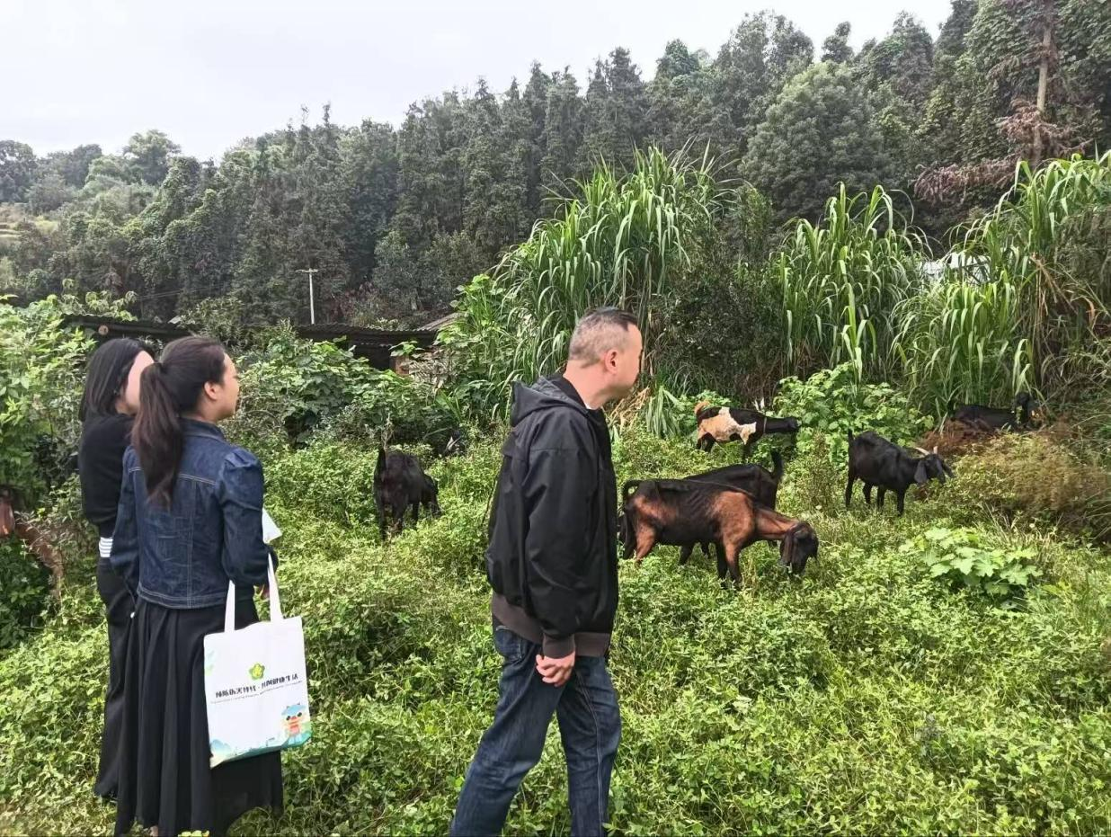 1763436048089005129.png 图片4.png